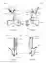 Fig. 37 - Knee instruments and methods