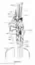 Fig. 41 - Knee instruments and methods