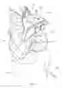 Fig. 45 - Knee instruments and methods