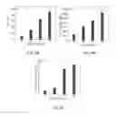 Fig. 09 - System and method for treating cancer through DNA damage with cold atmospheric plasma with self-organized patterns