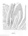 Fig. 07 - ROOT CANAL DENTAL INSTRUMENT