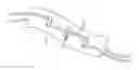 Fig. 01 - Tenodesis anchor