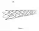 Fig. 02 - BIO-COMPATIPLE VASCULAR IMPLANT