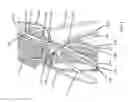 Fig. 02 - Vascular stent devices and methods