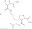 Fig. 184 - PH 7 INJECTABLE SOLUTION COMPRISING AT LEAST ONE BASIC INSULIN WITH A PI COMPRISED FROM 5.8 TO 8.5 AND A CO-POLYAMINOACIDE BEARING CARBOXYLATE CHARGES AND HYDROPHOBIC RADICALS