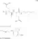 Fig. 38 - PH 7 INJECTABLE SOLUTION COMPRISING AT LEAST ONE BASIC INSULIN WITH A PI COMPRISED FROM 5.8 TO 8.5 AND A CO-POLYAMINOACIDE BEARING CARBOXYLATE CHARGES AND HYDROPHOBIC RADICALS