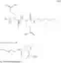 Fig. 39 - PH 7 INJECTABLE SOLUTION COMPRISING AT LEAST ONE BASIC INSULIN WITH A PI COMPRISED FROM 5.8 TO 8.5 AND A CO-POLYAMINOACIDE BEARING CARBOXYLATE CHARGES AND HYDROPHOBIC RADICALS
