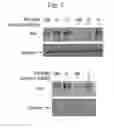 Fig. 08 - Cancer therapy