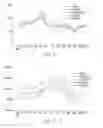 Fig. 07 - Pharmaceutical compositions comprising DGLA and use of same