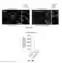 Fig. 08 - Methods to enhance microvascular engraftment of bioengineered and primary tissues