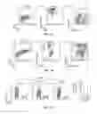 Fig. 09 - Methods to enhance microvascular engraftment of bioengineered and primary tissues