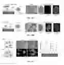 Fig. 35 - Methods to enhance microvascular engraftment of bioengineered and primary tissues
