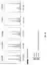 Fig. 03 - Prostate-specific membrane antigen cars and methods of use thereof