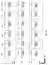 Fig. 10 - Prostate-specific membrane antigen cars and methods of use thereof