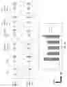 Fig. 18 - Prostate-specific membrane antigen cars and methods of use thereof