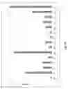 Fig. 28 - Prostate-specific membrane antigen cars and methods of use thereof