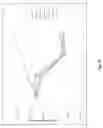 Fig. 33 - Prostate-specific membrane antigen cars and methods of use thereof