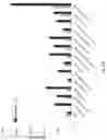 Fig. 40 - Prostate-specific membrane antigen cars and methods of use thereof