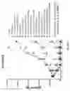Fig. 41 - Prostate-specific membrane antigen cars and methods of use thereof