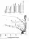 Fig. 43 - Prostate-specific membrane antigen cars and methods of use thereof