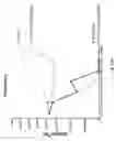 Fig. 44 - Prostate-specific membrane antigen cars and methods of use thereof