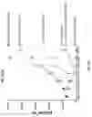Fig. 46 - Prostate-specific membrane antigen cars and methods of use thereof