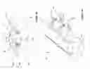 Fig. 04 - Neural Stimulation with Decomposition of Evoked Compound Action Potentials