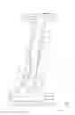 Fig. 01 - Center pillar structure