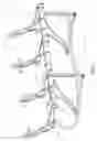 Fig. 02 - Noncircular base frame tube cross-sections