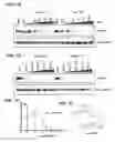 Fig. 09 - Modulators of BTK proteolysis and methods of use