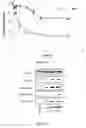Fig. 07 - Compositions and methods comprising osmium for the treatment of cancers