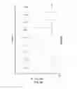 Fig. 06 - Platinum complex, its preparation and therapeutic use