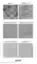 Fig. 41 - Engineered microcompartment protein and related methods and systems of engineering bacterial systems for non-native protein expression and purification
