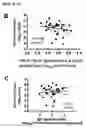 Fig. 13 - FUSION POLYPEPTIDES DERIVED FROM STAPHYLOCOCCUS AUREUS ANTIGENS