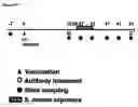 Fig. 15 - FUSION POLYPEPTIDES DERIVED FROM STAPHYLOCOCCUS AUREUS ANTIGENS