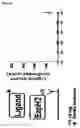 Fig. 23 - FUSION POLYPEPTIDES DERIVED FROM STAPHYLOCOCCUS AUREUS ANTIGENS
