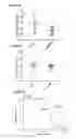 Fig. 08 - Agents and methods for treating CBP-dependent cancers