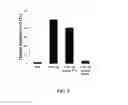 Fig. 08 - RECOMBINANT CHICKEN INTERLEUKIN-1 BETA PROTEIN FOR PRODUCING ANTIBODY EARLY AND RETAINING FOR A LONGER PERIOD OF TIME AND APPLICATION THEREOF