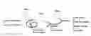 Fig. 01 - Antibodies to alpha-synuclein and uses thereof