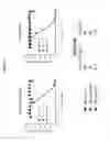 Fig. 08 - Antibodies to alpha-synuclein and uses thereof