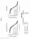 Fig. 09 - Antibodies to alpha-synuclein and uses thereof