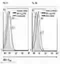 Fig. 09 - BLOOD BRAIN BARRIER SHUTTLE