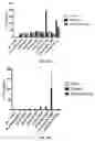 Fig. 23 - Compositions and methods for TCR reprogramming using fusion proteins