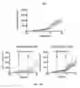 Fig. 32 - Compositions and methods for TCR reprogramming using fusion proteins