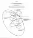 Fig. 02 - Glycan-interacting compounds and methods of use