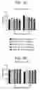 Fig. 07 - Method of treating or ameliorating metabolic disorders using binding proteins for gastric inhibitory peptide receptor (GIPR) in combination with GLP-1 agonists