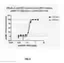 Fig. 07 - Anti-NGF antibodies and methods thereof