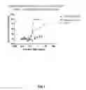 Fig. 08 - Anti-NGF antibodies and methods thereof