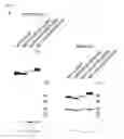 Fig. 05 - POLYPEPTIDE VARIANTS AND USES THEREOF