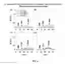 Fig. 06 - Cell membrane-mimicking brush polymer and method for preparding same